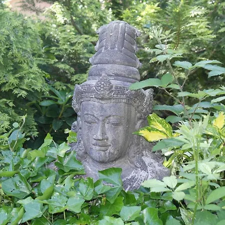 Oriental House בית נופש